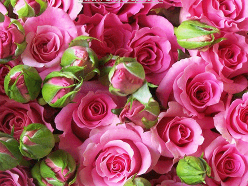 Danh sách Hội viên mới của Hội Nhà văn Việt Nam - 2014